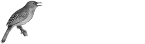 Nairobi Birding Tours