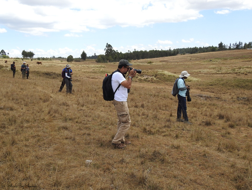 https://www.nairobibirdingtours.com/