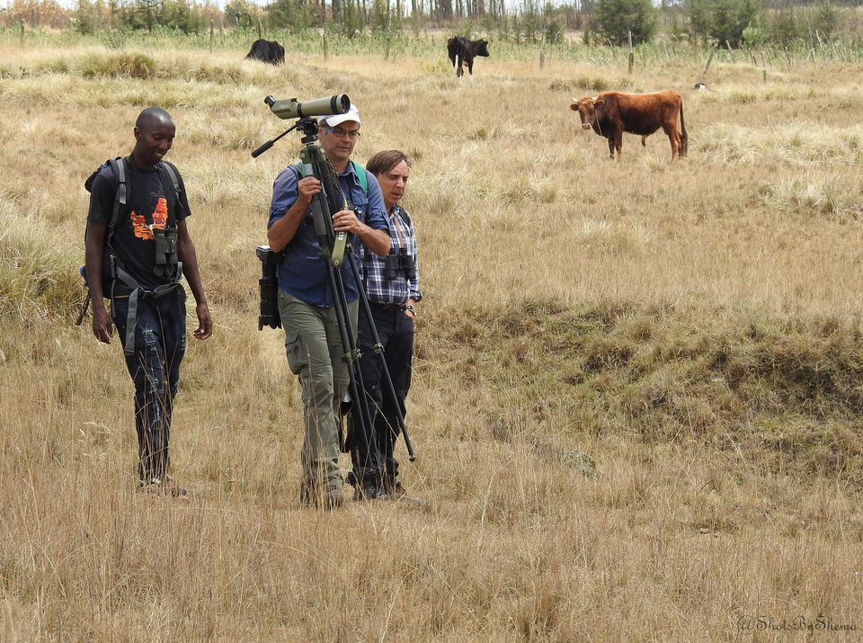 https://www.nairobibirdingtours.com/
