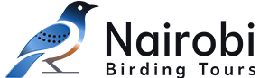 Nairobi Birding Tours